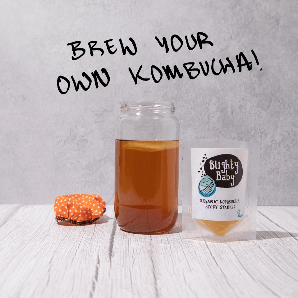 Organic Kombucha Scoby Starter 500ml - Blighty Booch Kombucha - Tea - Eco Natural Products