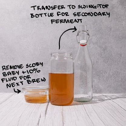 Organic Kombucha Scoby Starter 500ml - Blighty Booch Kombucha - Tea - Eco Natural Products