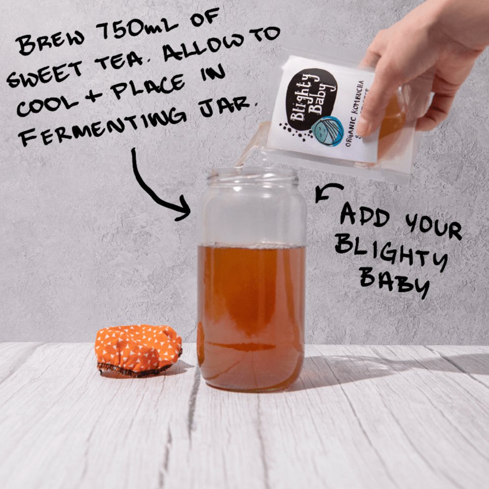 Organic Kombucha Scoby Starter 500ml - Blighty Booch Kombucha - Tea - Eco Natural Products