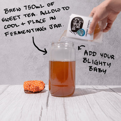 Organic Kombucha Scoby Starter 500ml - Blighty Booch Kombucha - Tea - Eco Natural Products