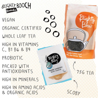 Organic Kombucha Scoby Starter 75ml - Blighty Booch Kombucha - Tea - Eco Natural Products