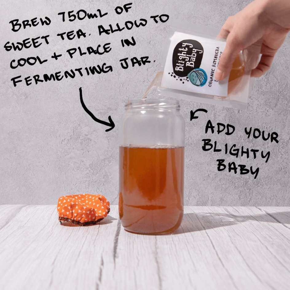 Organic Kombucha Scoby Starter 75ml - Blighty Booch Kombucha - Tea - Eco Natural Products