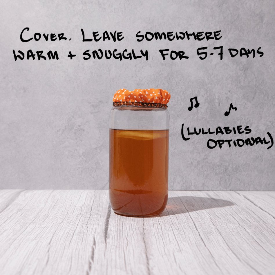 Organic Kombucha Scoby Starter 75ml - Blighty Booch Kombucha - Tea - Eco Natural Products