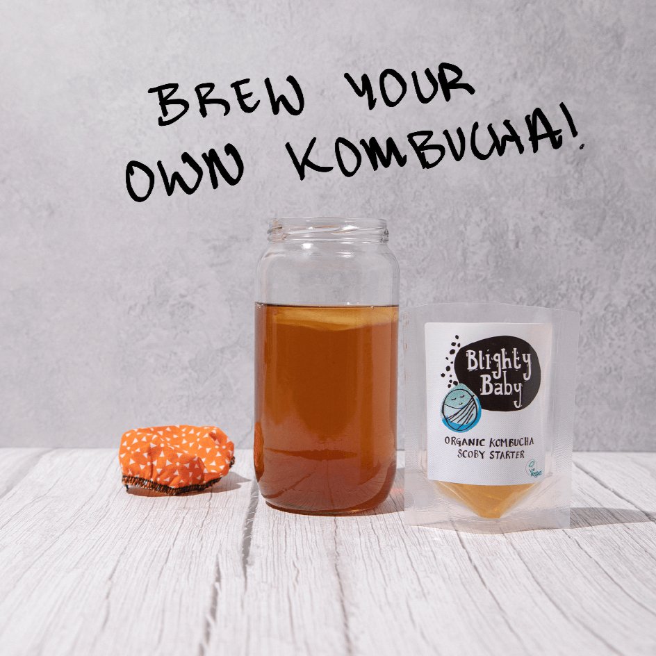 Organic Kombucha Scoby Starter 75ml - Blighty Booch Kombucha - Tea - Eco Natural Products