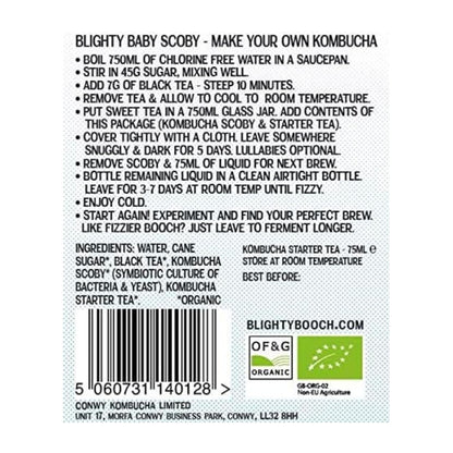 Organic Kombucha Scoby Starter 75ml - Blighty Booch Kombucha - Tea - Eco Natural Products