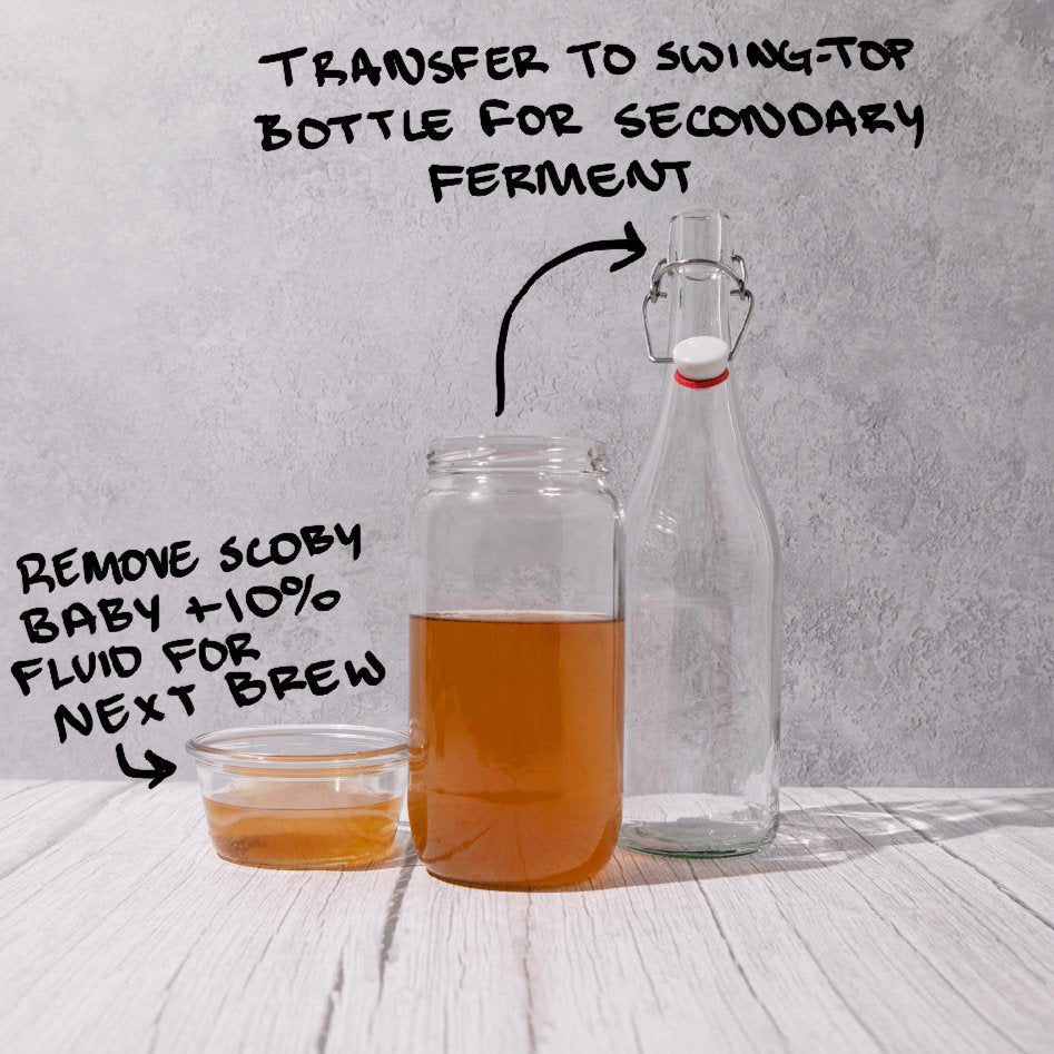 Organic Kombucha Scoby Starter 75ml - Blighty Booch Kombucha - Tea - Eco Natural Products