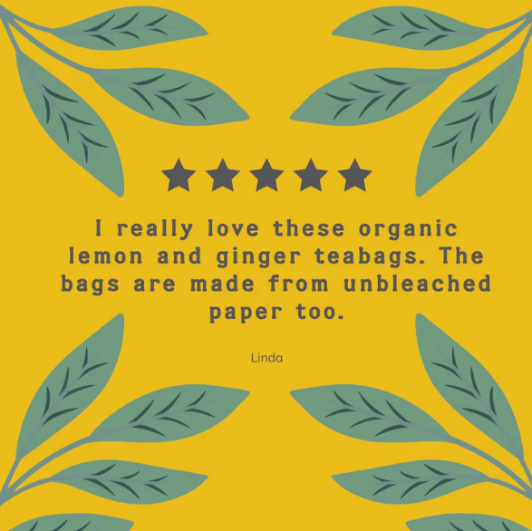 Organic Lemon & Ginger Herbal Infusion 20 Bags - Hampstead Tea - Hebal Infusion - Hampstead Tea
