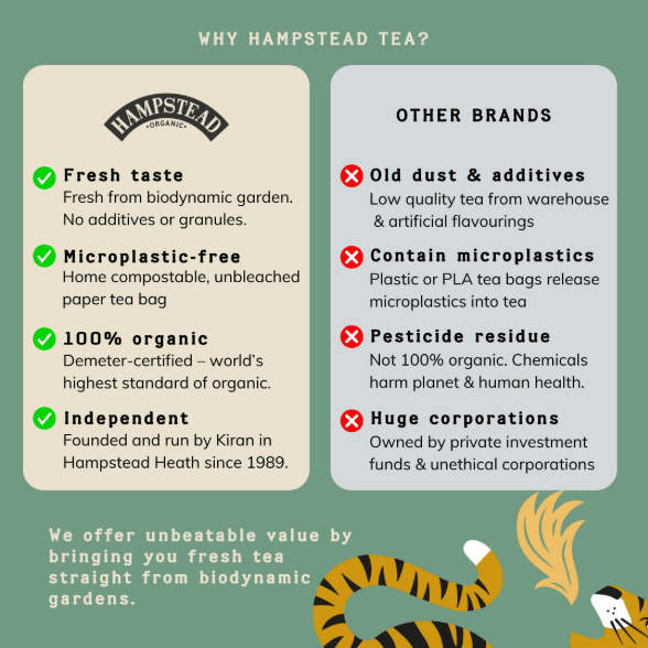 Organic Lemon & Green Tea 20 Bags - Hampstead Tea - Green Tea - Hampstead Tea