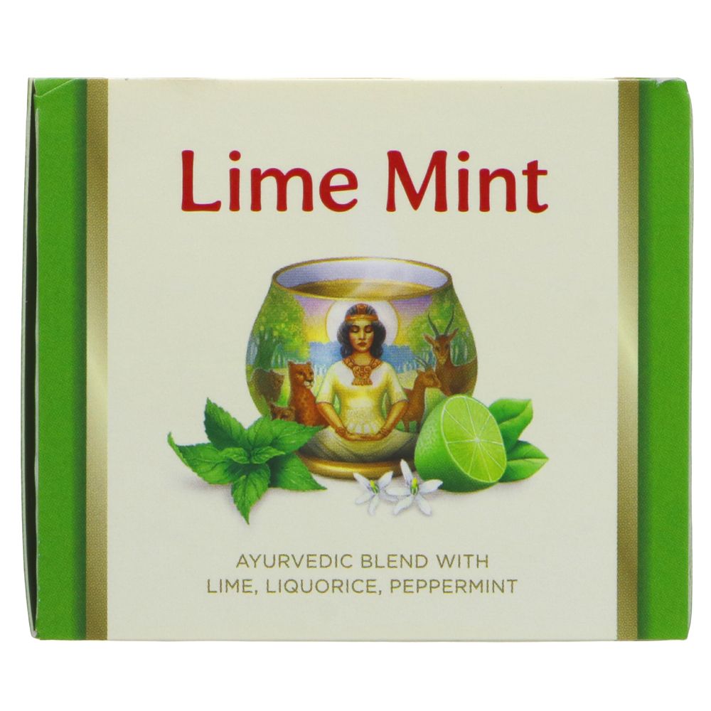 Organic Lime Mint Herbal Tea 17 Bags - Yogi Tea - Tea - Eco Natural Products