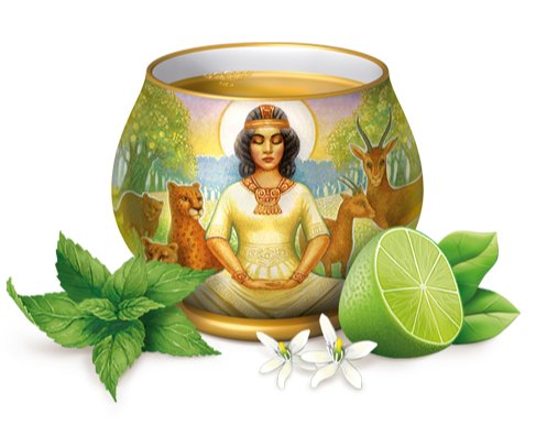 Organic Lime Mint Herbal Tea 17 Bags - Yogi Tea - Tea - Eco Natural Products