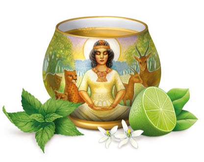 Organic Lime Mint Herbal Tea 17 Bags - Yogi Tea - Tea - Eco Natural Products