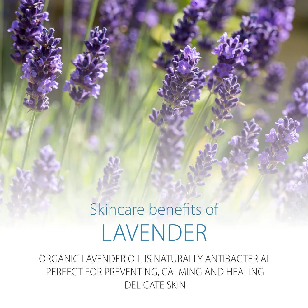 Organic Moisturising Lotion Pitta Patta 200ml - Simply Gentle - Moisturising Lotion - Eco Natural Products