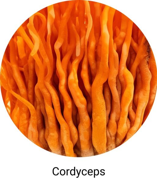 Organic Myco O2 60g - Mushrooms 4 Life - Food Supplement - Eco Natural Products