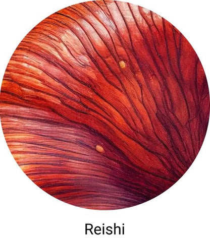 Organic Myco O2 60g - Mushrooms 4 Life - Food Supplement - Eco Natural Products