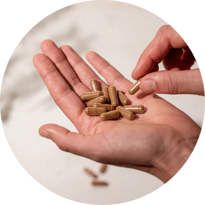 Organic Myco Synergy 60 Caps - Mushrooms 4 Life - Food Supplement - Eco Natural Products