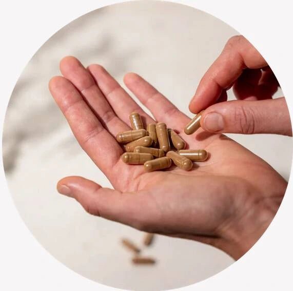 Organic Mycomplex 60 Capsules - Mushrooms 4 Life - Herbal Supplements - Mushrooms 4 Life