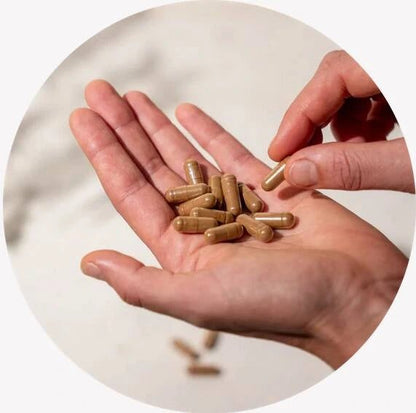 Organic Mycomplex 60 Capsules - Mushrooms 4 Life - Herbal Supplements - Mushrooms 4 Life