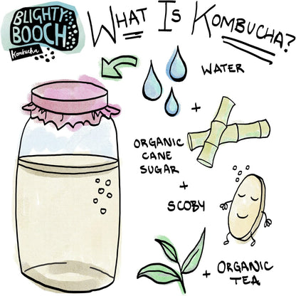 Organic Original Kombucha 330ml - Blighty Booch Kombucha - Tea - Eco Natural Products