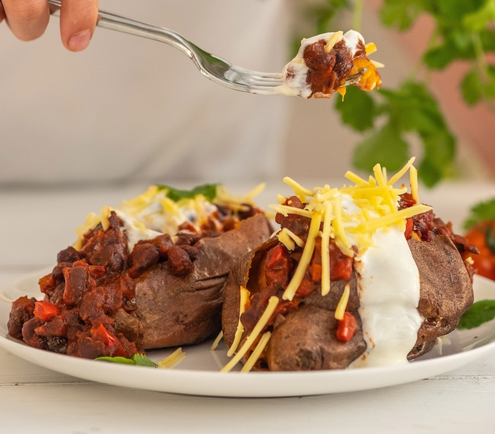 Organic Passata Fina 700g - Biona - Pasta Sauce - Eco Natural Products