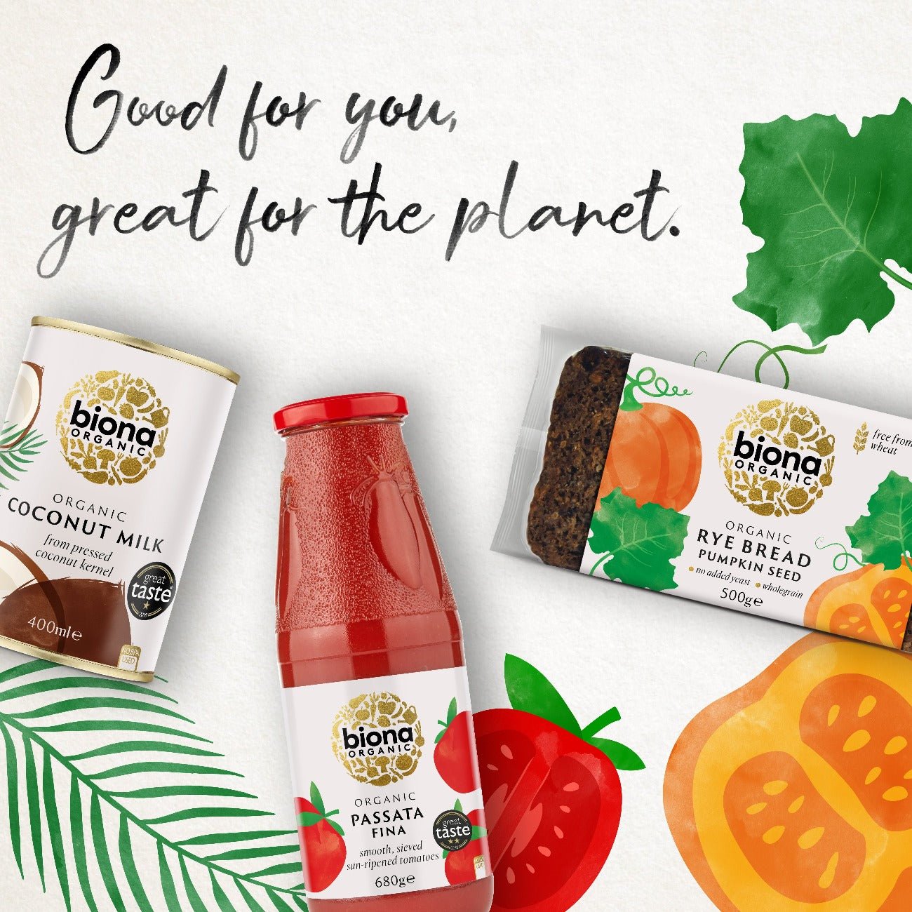 Organic Passata Fina 700g - Biona - Pasta Sauce - Eco Natural Products