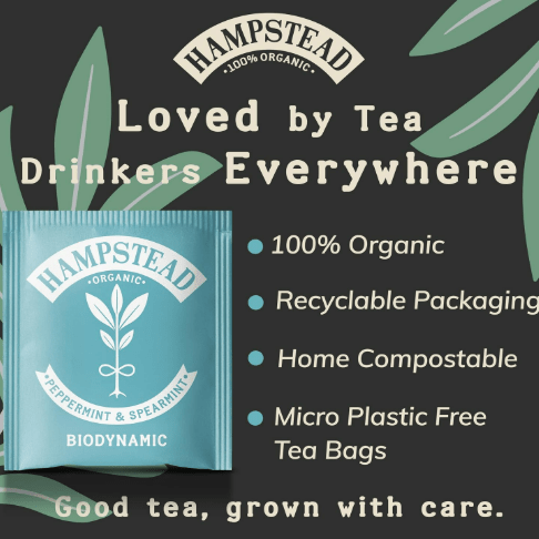 Organic Peppermint & Spearmint Herbal Infusion 20 Bags - Hampstead Tea - Hebal infusion - Hampstead Tea