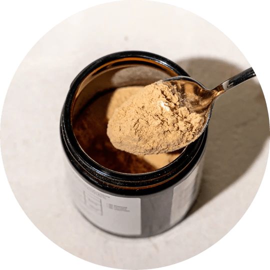 Organic Reishi Spore 60g - Mushrooms 4 Life - Food Supplement - Eco Natural Products