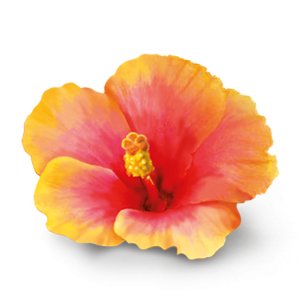 Organic Rose Herbal Tea 17 Bags - Yogi Tea - Tea - Eco Natural Products