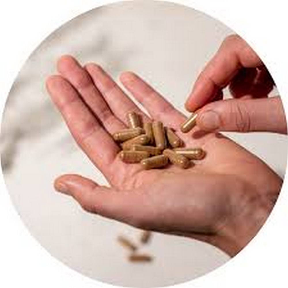 Organic Shiitake 60 Capsules - Mushrooms 4 Life - Mushroom powder - Eco Natural Products