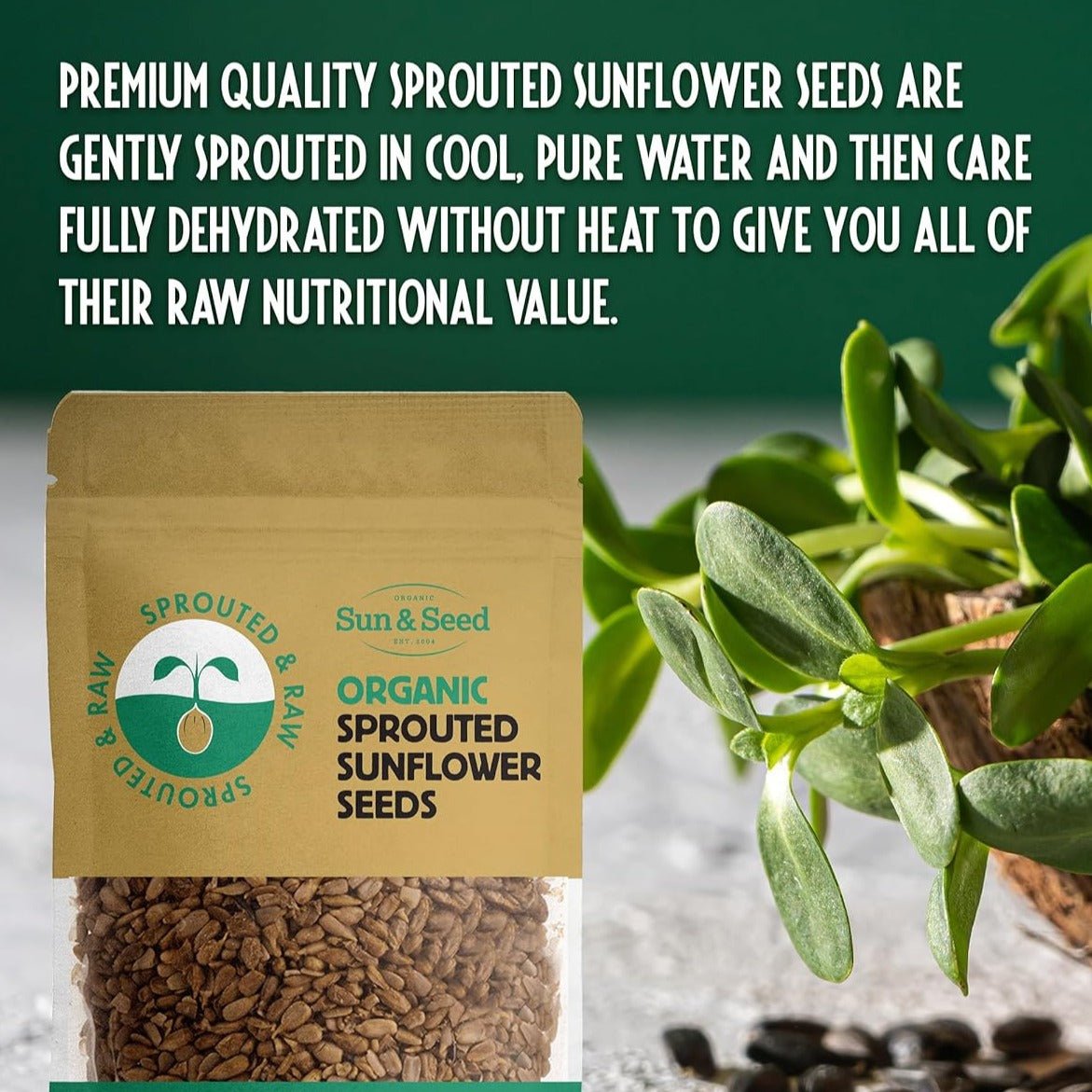 Organic Sprouted & Raw Sunflower Seeds 250g - Sun & Seed - Seeds - Eco Natural Products