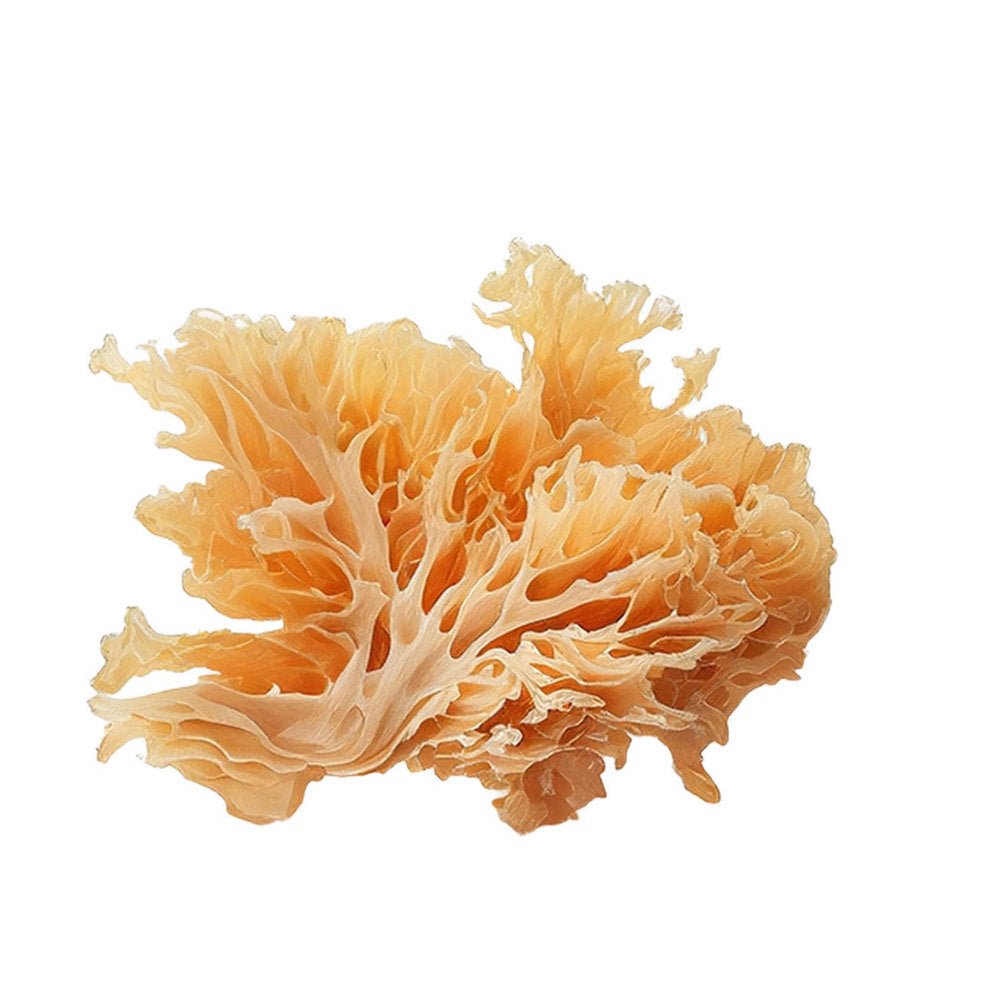 Organic Tremella Powder 60g - Mushrooms 4 Life - Mushroom powder - Eco Natural Products