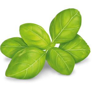 Organic White Herbal with Aloe Vera Tea 17 Bags - Yogi Tea - Tea - Eco Natural Products