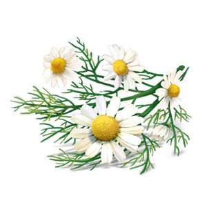 Organic White Herbal with Aloe Vera Tea 17 Bags - Yogi Tea - Tea - Eco Natural Products