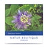 Passion Flower Tea - 20 Sachets - Natur Boutique - Herbal tea - Eco Natural Products