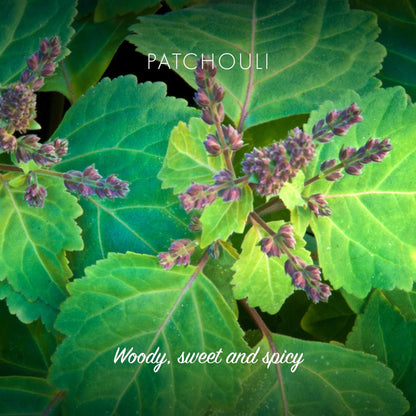 Patchouli & Sandalwood Soap 95g - Friendly Soap - Bar Soap - Eco Natural Products