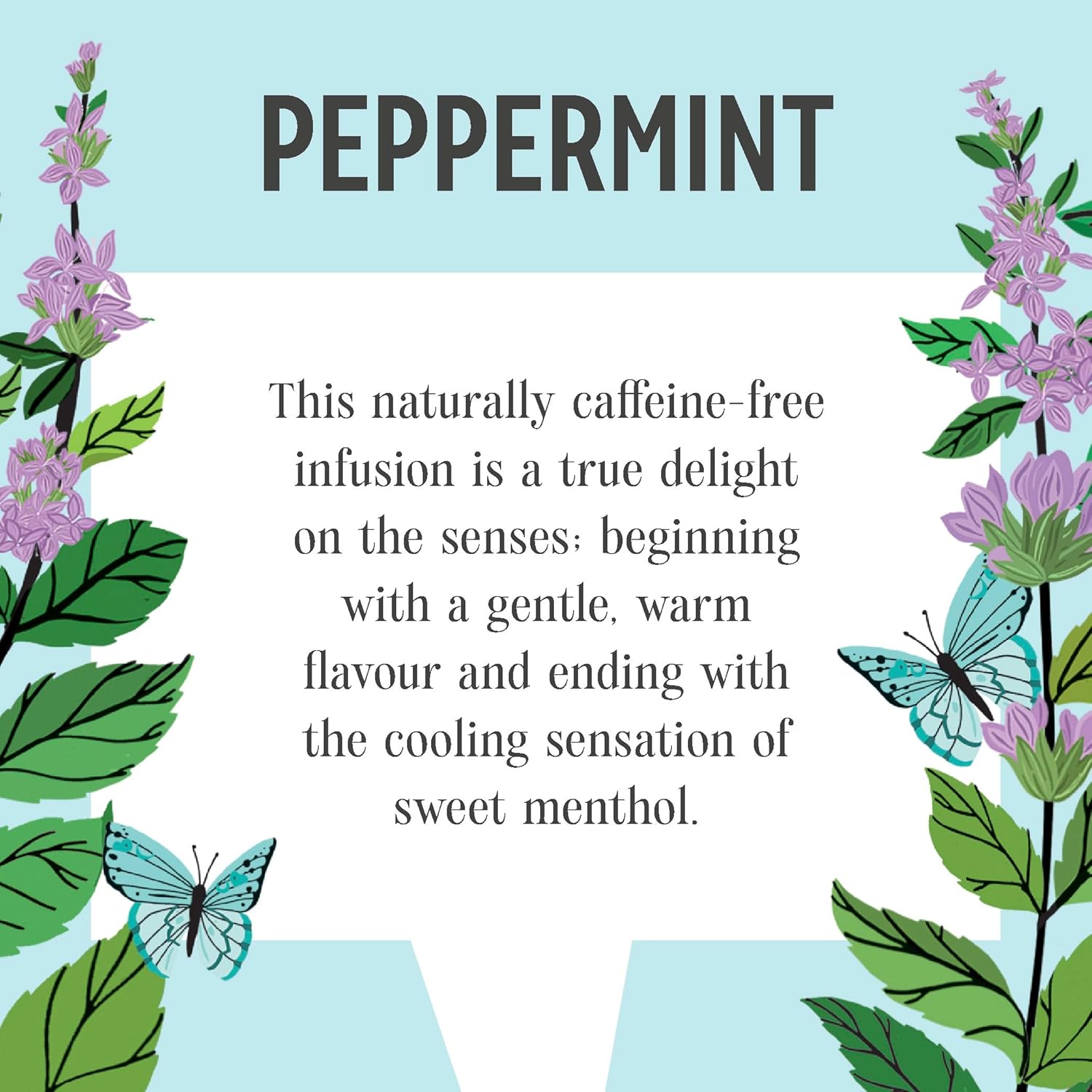 Peppermint Infusion 20 Bags - Heath & Heather - Infusions - Heath & Heather