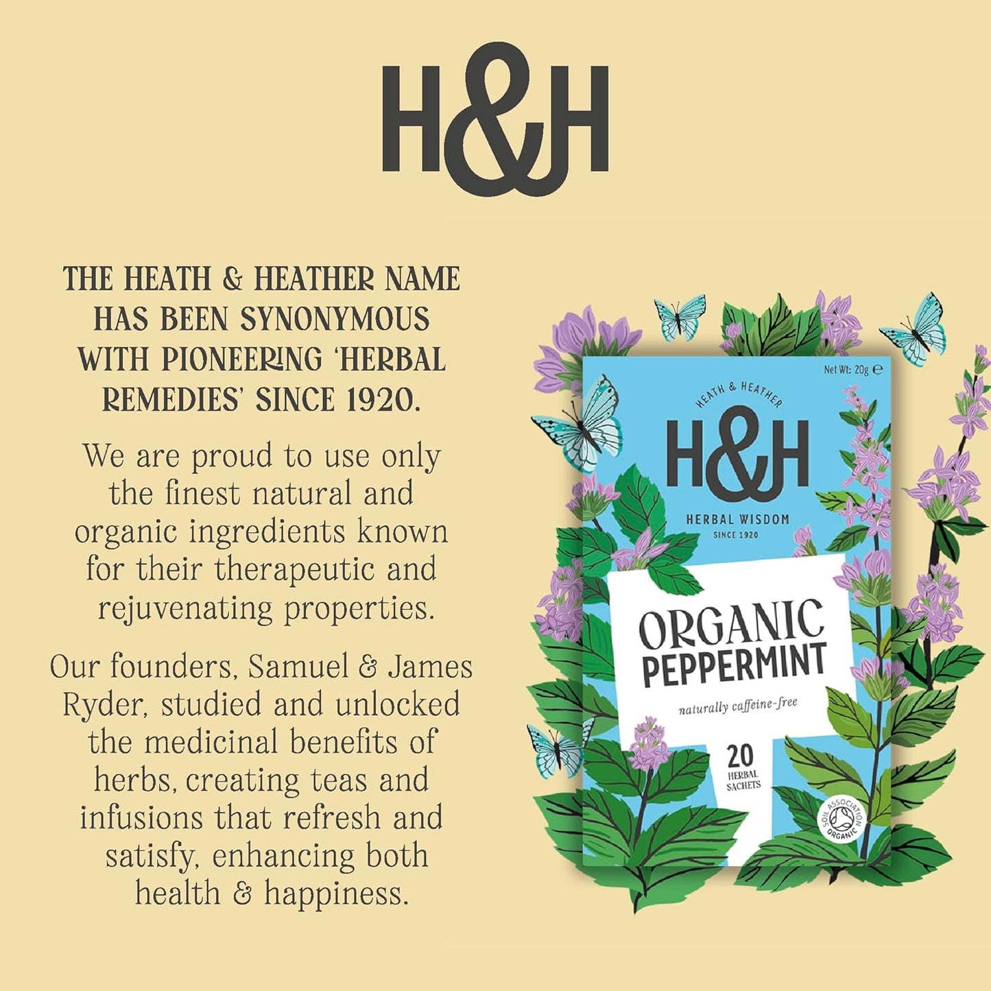 Peppermint Infusion 20 Bags - Heath & Heather - Infusions - Heath & Heather