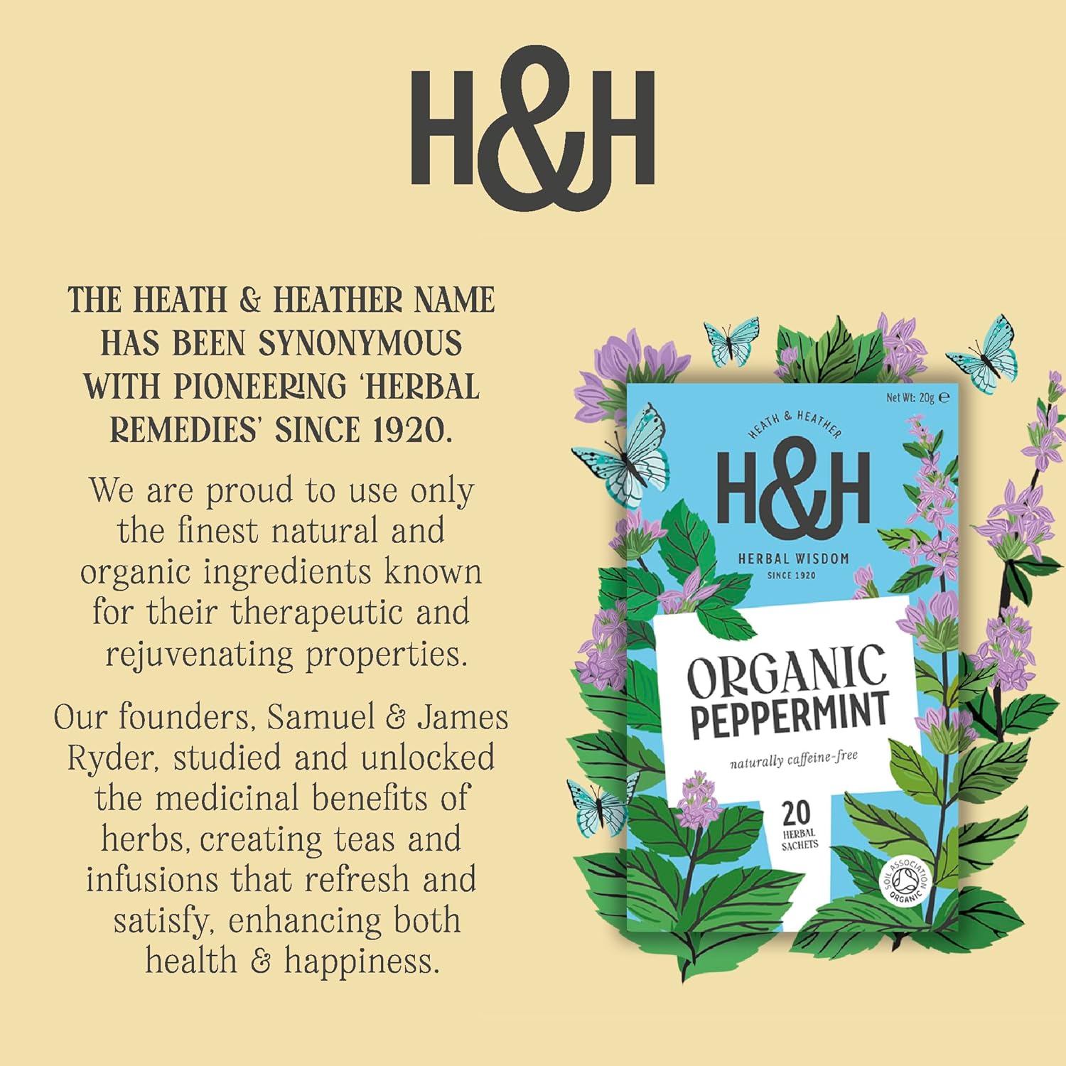 Peppermint Infusion 20 Bags - Heath & Heather - Infusions - Heath & Heather