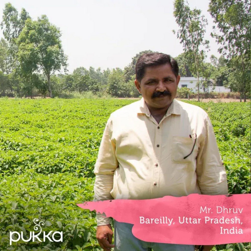 Peppermint & Licorice 20 Tea Bags - Pukka Herbs - Tea herbal - Eco Natural Products