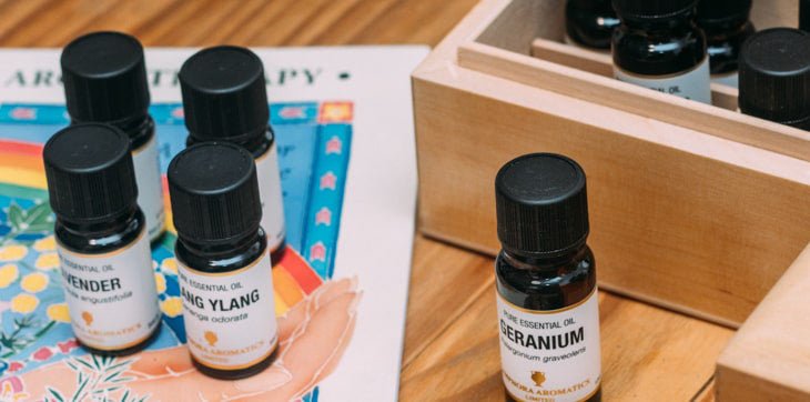 Pine Essential Oil 10ml - Amphora Aromatics - Essential Oil - Eco Natural Products