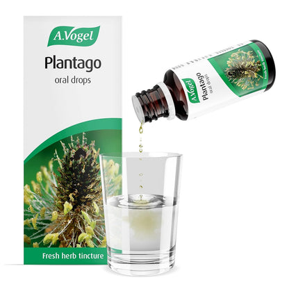 Plantago Lanceolata Tincture Drops 50ml - A. Vogel - Herbal Supplement - Eco Natural Products