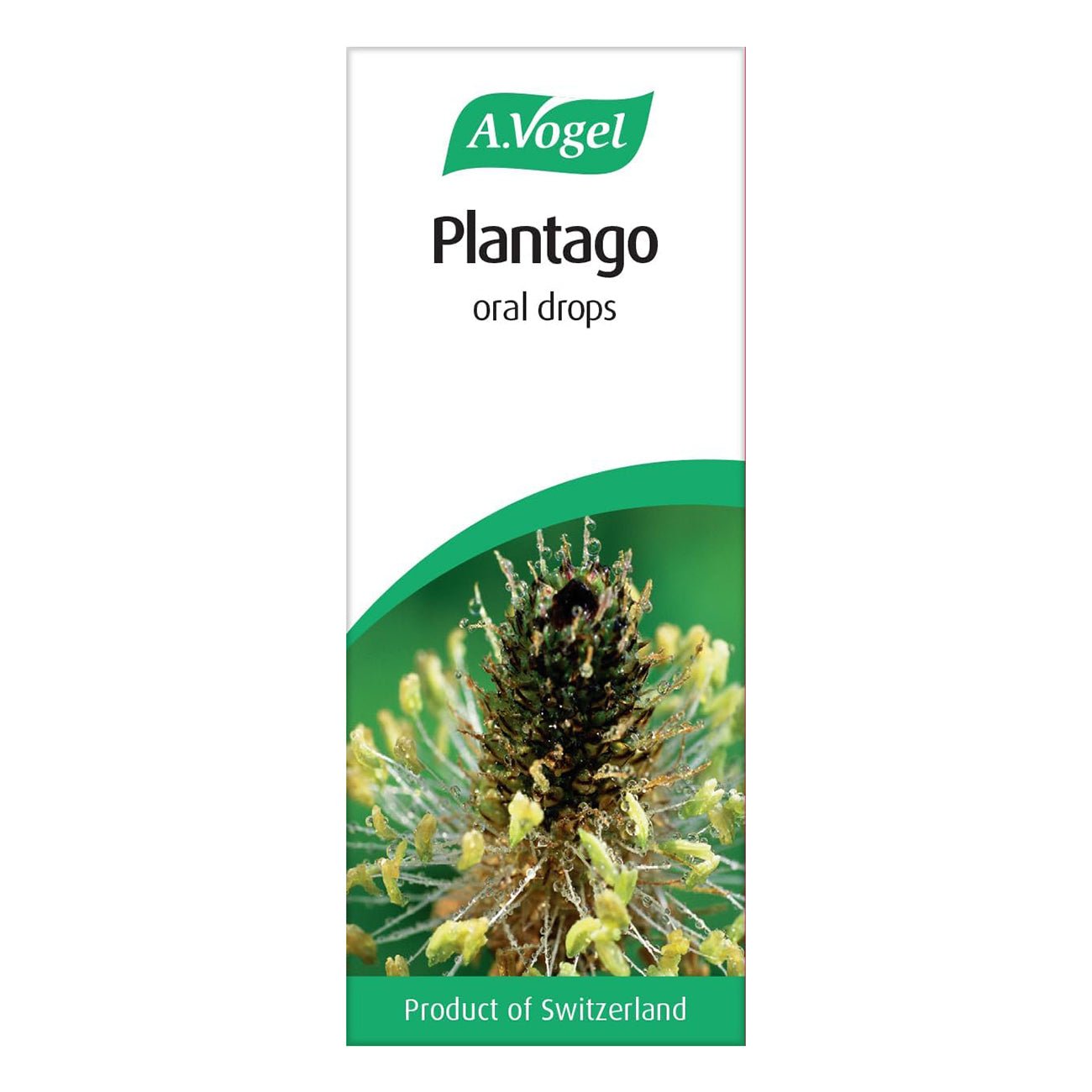 Plantago Lanceolata Tincture Drops 50ml - A. Vogel - Herbal Supplement - Eco Natural Products