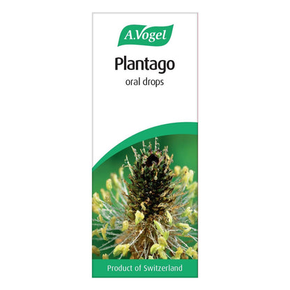 Plantago Lanceolata Tincture Drops 50ml - A. Vogel - Herbal Supplement - Eco Natural Products