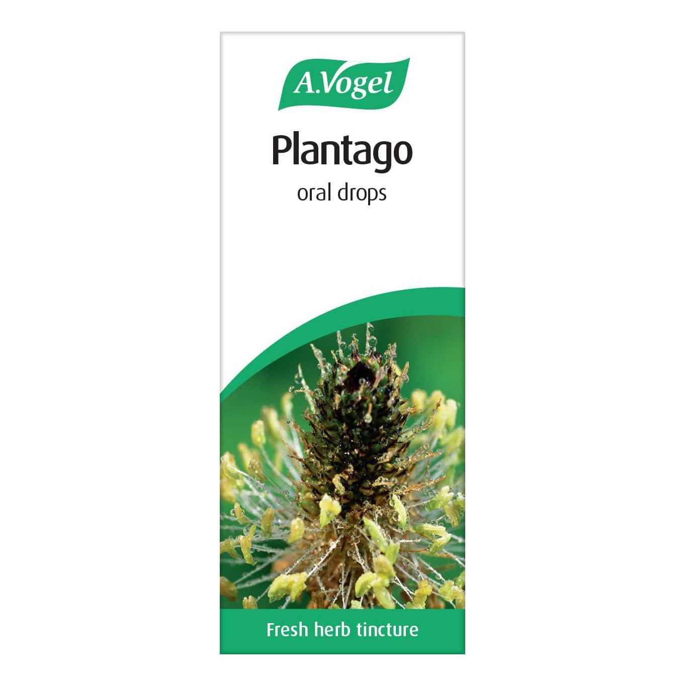 Plantago Lanceolata Tincture Drops 50ml [BLACK FRIDAY] - Eco Natural Products - A. Vogel - Herbal Supplement