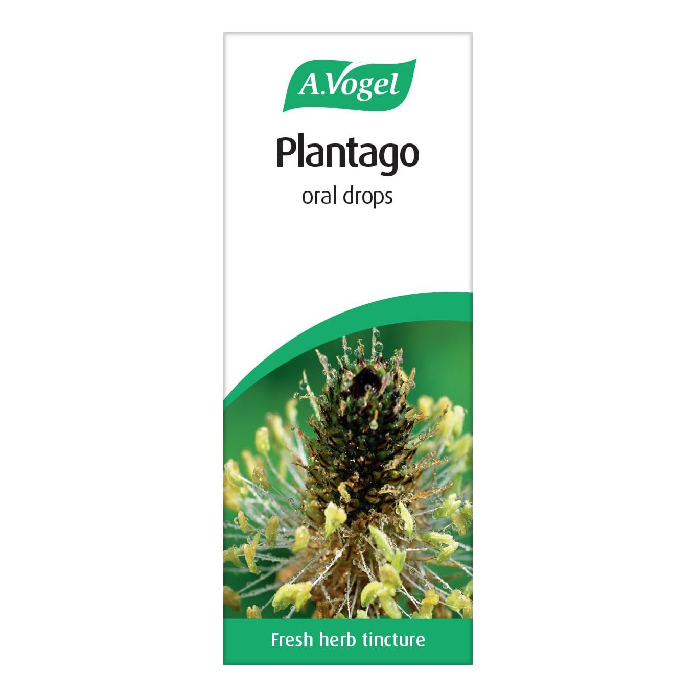 Plantago Lanceolata Tincture Drops 50ml - A. Vogel - Herbal Supplement - Eco Natural Products