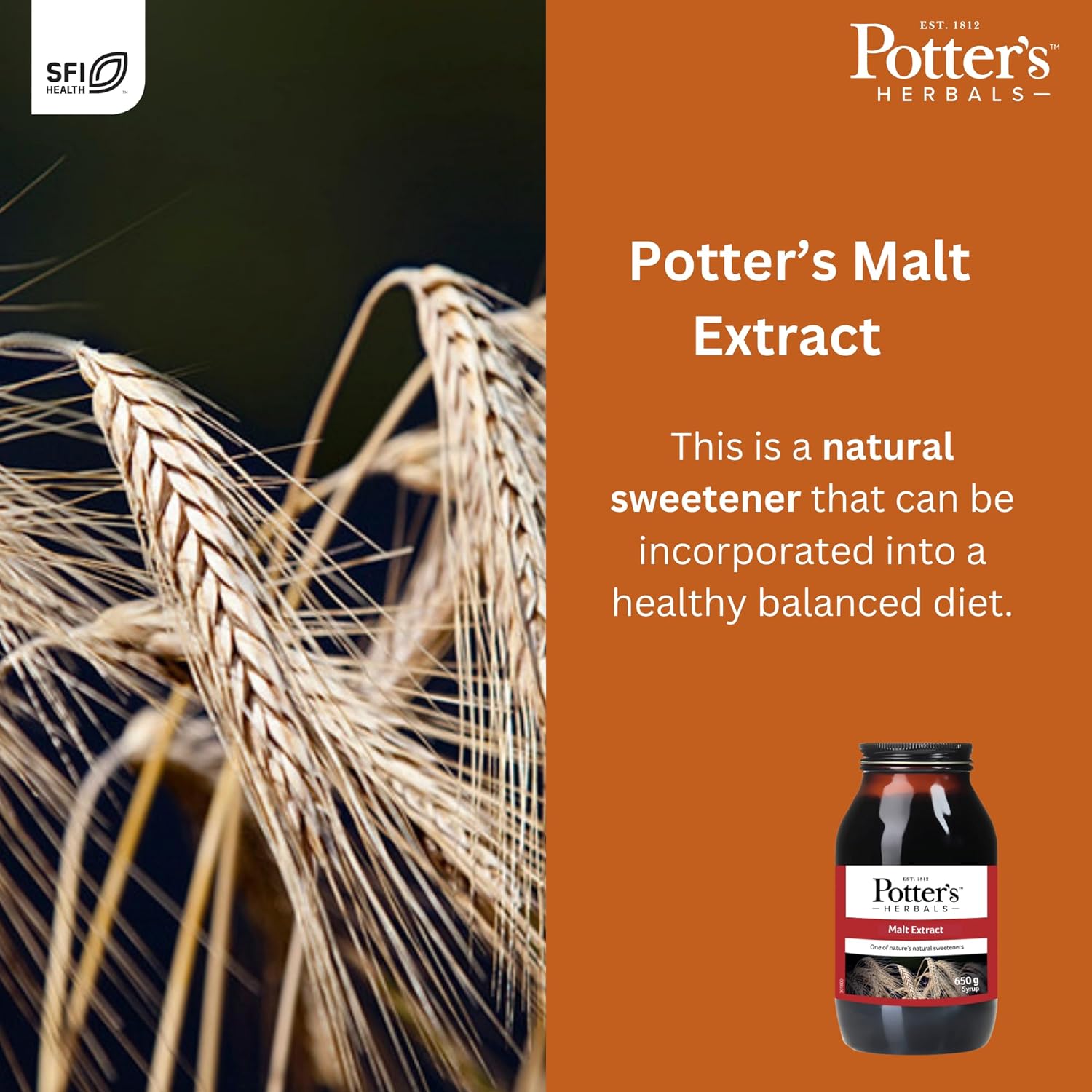 Potter Malt Extract 650g - Potter's Herbals - Sugar Substitute - Eco Natural Products