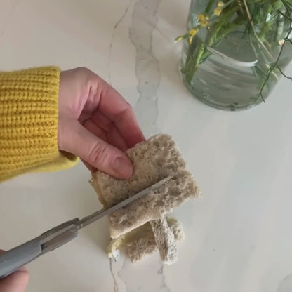 Compostable Sponge with Loofah Scourer Pack of 4 80g