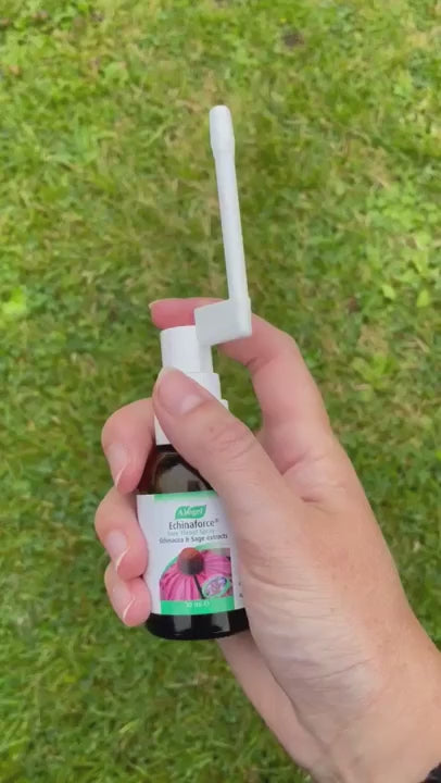 Echinaforce Sore Throat Spray 30ml