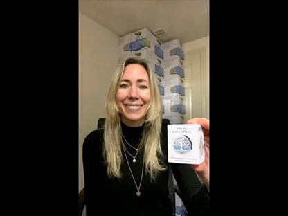 Clip on Car Aroma Diffuser