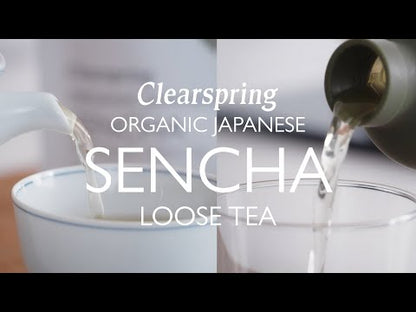 Organic Japanese Sencha Traditional Green Tea 20 Bags