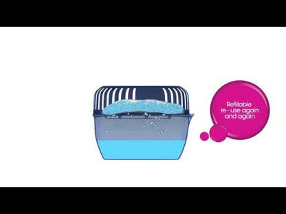 Room Dehumidifier 547g